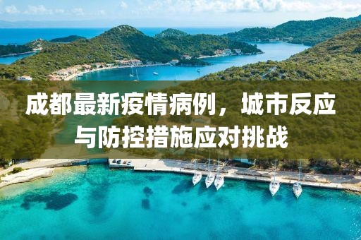 成都最新疫情病例，城市反应与防控措施应对挑战