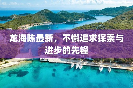 龙海陈最新，不懈追求探索与进步的先锋