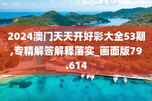 2024澳门天天开好彩大全53期,专精解答解释落实_画面版79.614