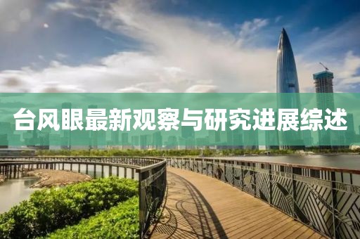 台风眼最新观察与研究进展综述