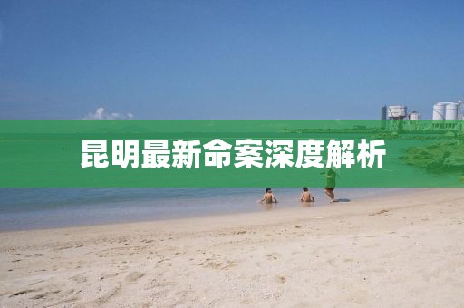昆明最新命案深度解析