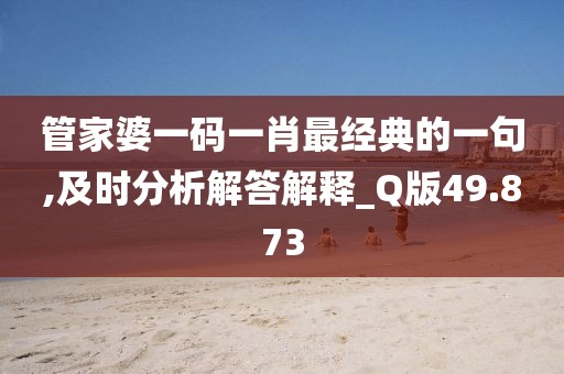 管家婆一码一肖最经典的一句,及时分析解答解释_Q版49.873