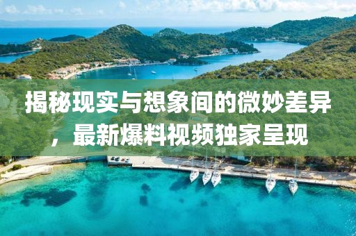 黎音雨 第15页