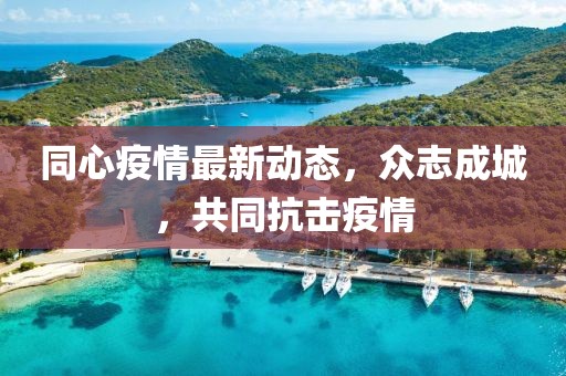 同心疫情最新动态，众志成城，共同抗击疫情