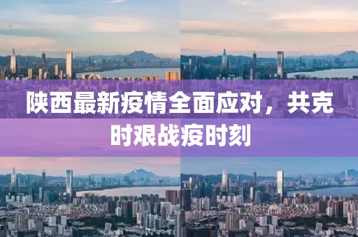 陕西最新疫情全面应对，共克时艰战疫时刻