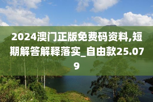 2024澳门正版免费码资料,短期解答解释落实_自由款25.079