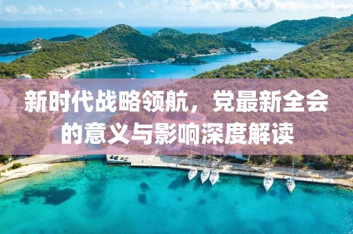 新时代战略领航，党最新全会的意义与影响深度解读