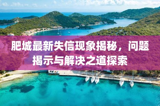 肥城最新失信现象揭秘，问题揭示与解决之道探索