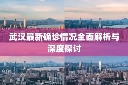 武汉最新确诊情况全面解析与深度探讨