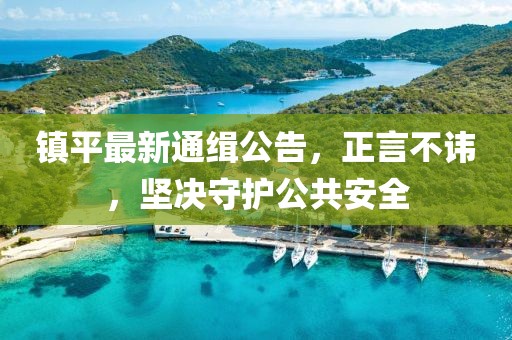 镇平最新通缉公告，正言不讳，坚决守护公共安全