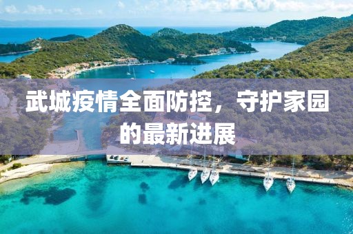 武城疫情全面防控，守护家园的最新进展