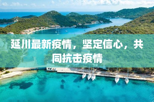 延川最新疫情，坚定信心，共同抗击疫情