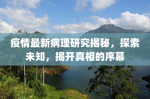疫情最新病理研究揭秘，探索未知，揭开真相的序幕