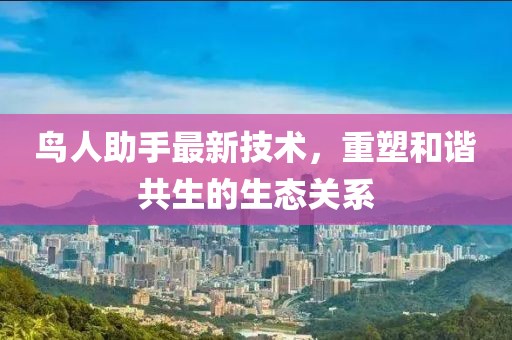 2025年1月 第383页