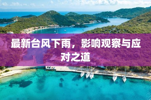 最新台风下雨，影响观察与应对之道