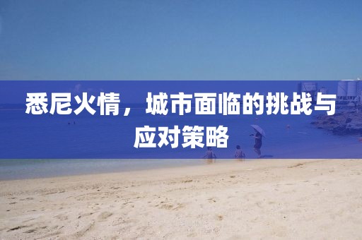 悉尼火情，城市面临的挑战与应对策略