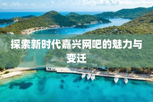 探索新时代嘉兴网吧的魅力与变迁