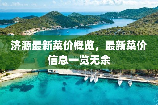 济源最新菜价概览，最新菜价信息一览无余