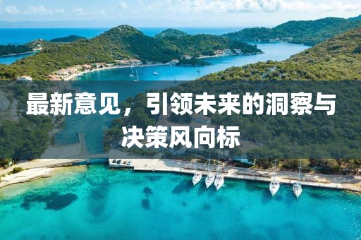 最新意见，引领未来的洞察与决策风向标