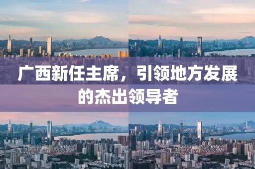 广西新任主席，引领地方发展的杰出领导者