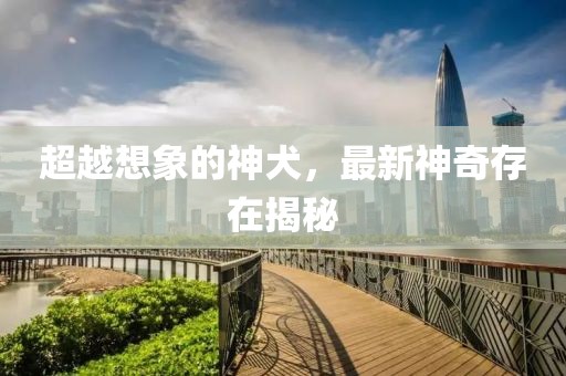 超越想象的神犬，最新神奇存在揭秘