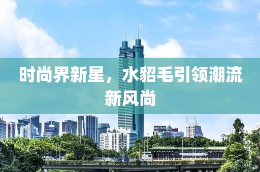 时尚界新星，水貂毛引领潮流新风尚