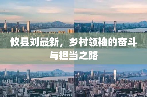 攸县刘最新，乡村领袖的奋斗与担当之路