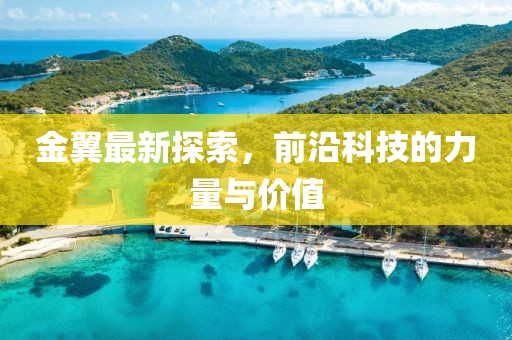 金翼最新探索，前沿科技的力量与价值