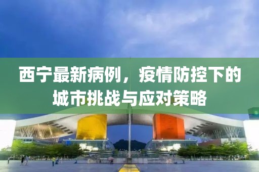 西宁最新病例，疫情防控下的城市挑战与应对策略