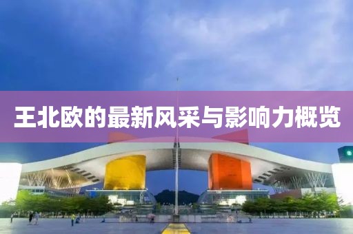 王北欧的最新风采与影响力概览