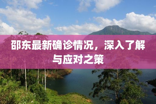 邵东最新确诊情况，深入了解与应对之策
