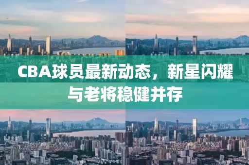 CBA球员最新动态，新星闪耀与老将稳健并存