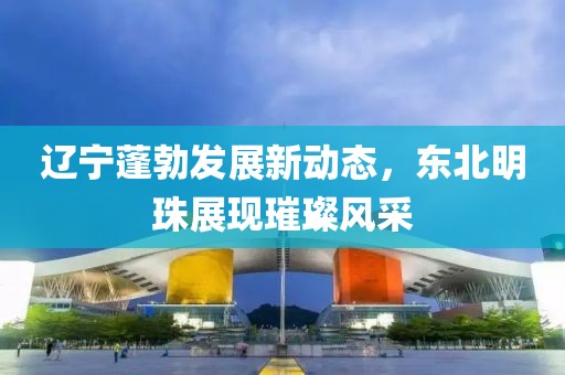 辽宁蓬勃发展新动态，东北明珠展现璀璨风采