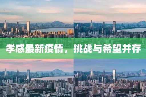 孝感最新疫情，挑战与希望并存