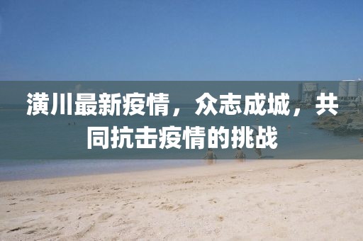 潢川最新疫情，众志成城，共同抗击疫情的挑战