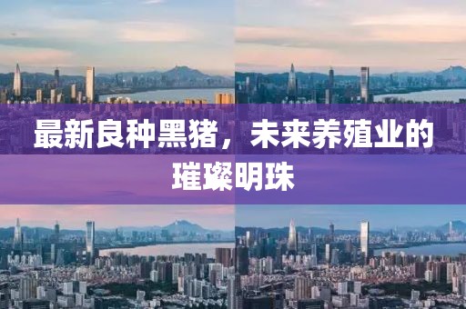 最新良种黑猪，未来养殖业的璀璨明珠