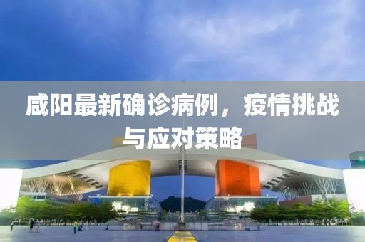 咸阳最新确诊病例，疫情挑战与应对策略