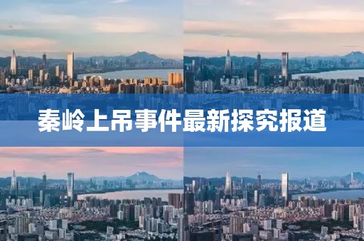 秦岭上吊事件最新探究报道