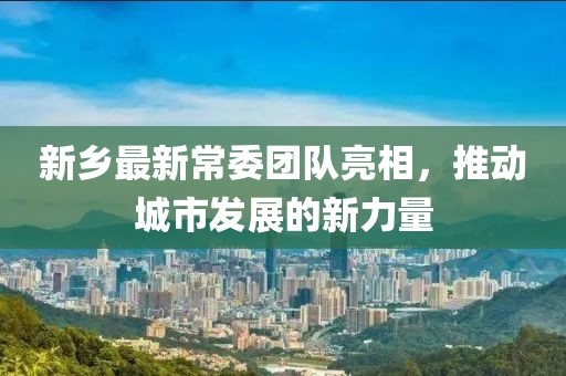 新乡最新常委团队亮相，推动城市发展的新力量