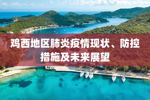 鸡西地区肺炎疫情现状、防控措施及未来展望