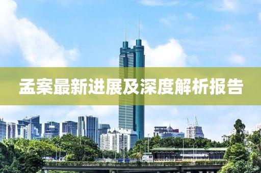 孟案最新进展及深度解析报告