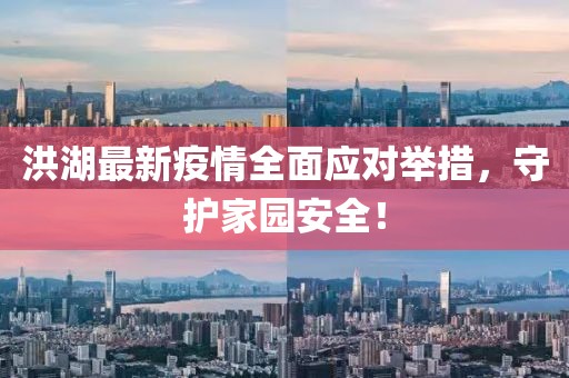 洪湖最新疫情全面应对举措，守护家园安全！