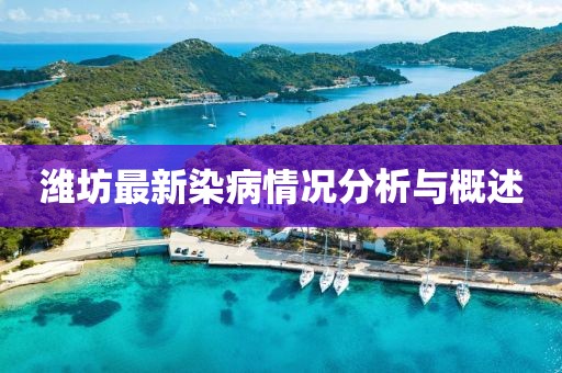 潍坊最新染病情况分析与概述
