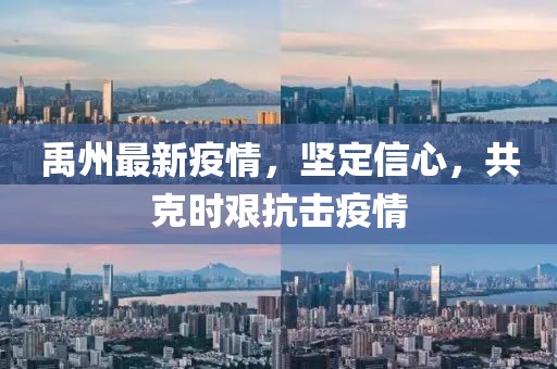 禹州最新疫情，坚定信心，共克时艰抗击疫情