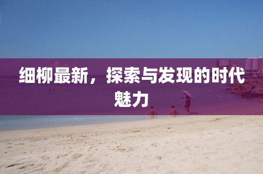 细柳最新，探索与发现的时代魅力