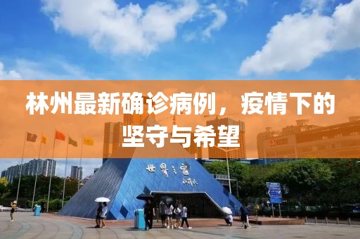 林州最新确诊病例，疫情下的坚守与希望