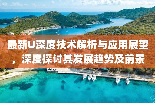 最新U深度技术解析与应用展望，深度探讨其发展趋势及前景