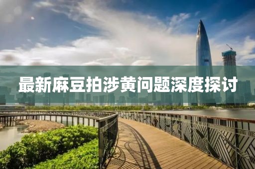 最新麻豆拍涉黄问题深度探讨