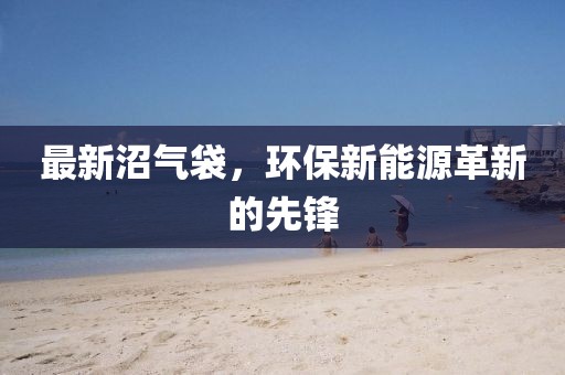 最新沼气袋，环保新能源革新的先锋