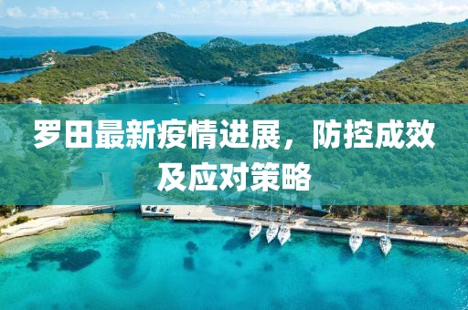罗田最新疫情进展，防控成效及应对策略
